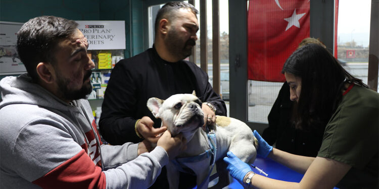 Köpeği aydınlatma direğine vuran şüpheli yakalandı