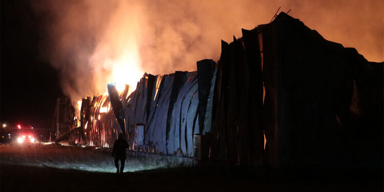 Kayseri'de mantar üretim tesisinde yangın