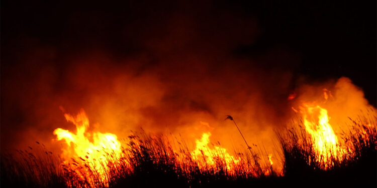 Kayseri'de Sultan Sazlığı Milli Parkı'ndaki yangın söndürüldü