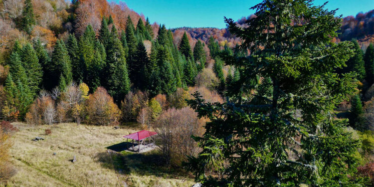 Küre Dağları Milli Parkı'nda sonbahar güzelliği