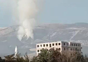 Kahramanmaraş'ta ormanda yangın çıktı