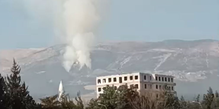 Kahramanmaraş'ta ormanda yangın çıktı