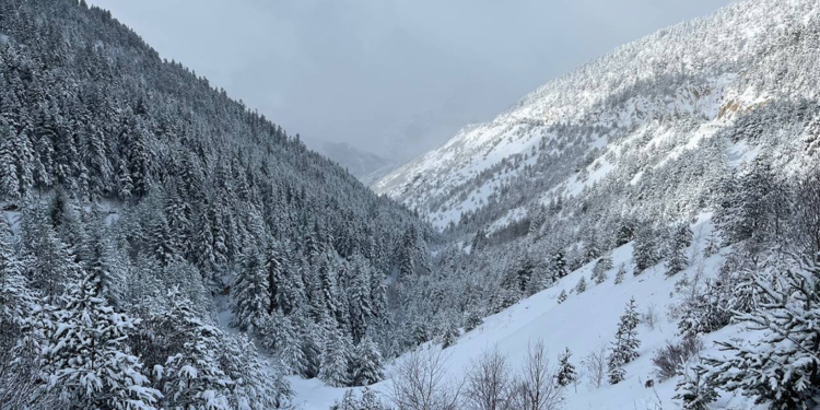 Karadeniz'de kar esareti; 442 köy ve mahalle yolu kapandı