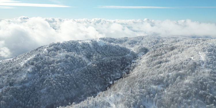 Kocaeli'nin Kartepe ilçesinde kar güzelliği