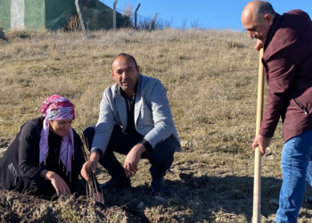 Köyde içme suyu sorunu çözülünce kadınlar hatıra ormanı kurdu