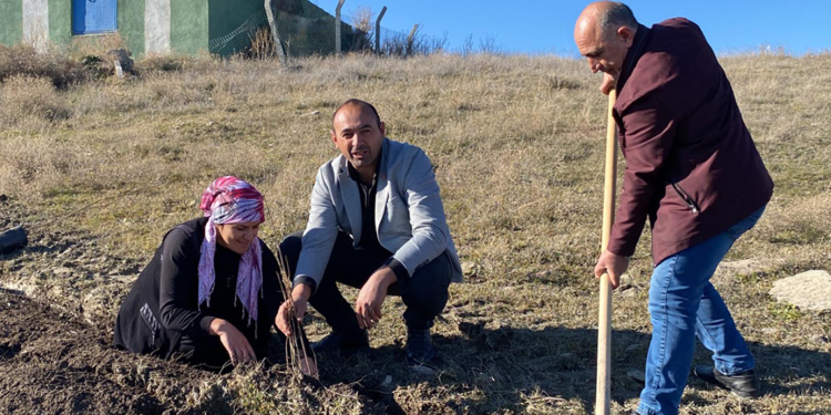 Köyde içme suyu sorunu çözülünce kadınlar hatıra ormanı kurdu