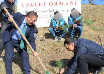 Küçükçekmece'de hükümlülerden Adalet Ormanı'na 300 fidan