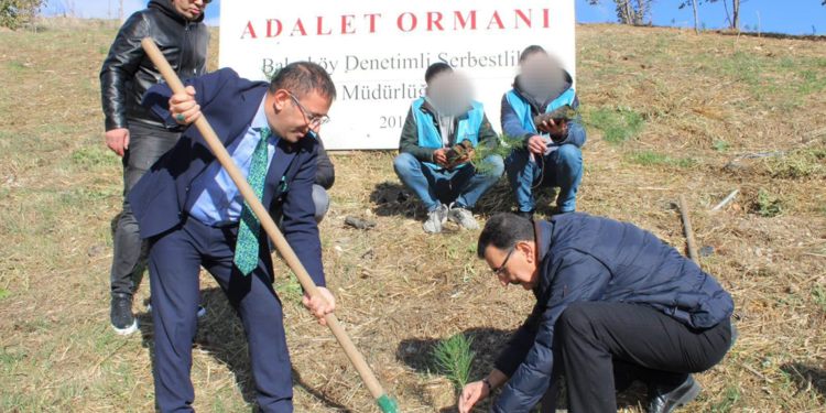 Küçükçekmece'de hükümlülerden Adalet Ormanı'na 300 fidan