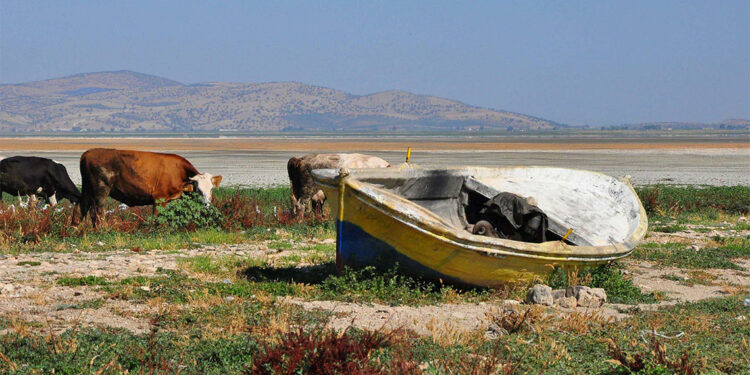 Marmara Gölü'ndeki tarımsal üretim ile ilgili davada karar duruşması