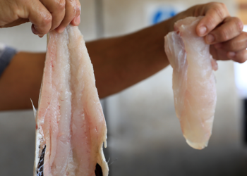 Mezgitin kilosu 750 lirayı buldu; yarı fiyatına 'zehir' uyarısı