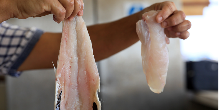 Mezgitin kilosu 750 lirayı buldu; yarı fiyatına 'zehir' uyarısı 