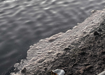 Muğla'da 'Tuzla Sulak Alanı' köpürdü