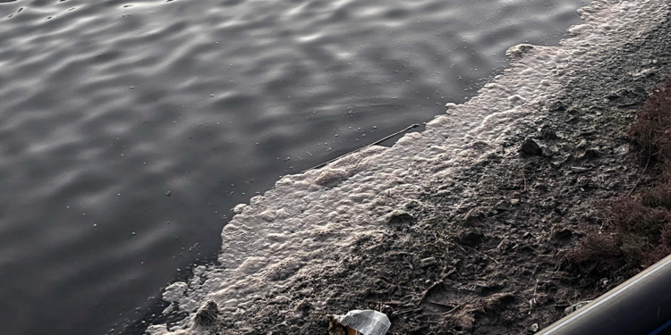 Muğla'da 'Tuzla Sulak Alanı' köpürdü