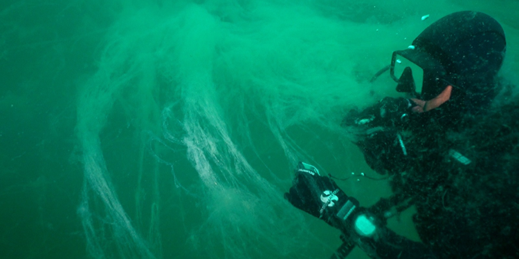 Müsilajın Marmara'da yayılma ihtimali çok yüksek