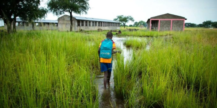 Nijerya'da 4,9 milyon çocuk acil insani yardıma muhtaç