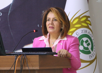 OECD ülkeleri içerisinde kadına yönelik şiddette birinci sıradayız