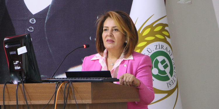 OECD ülkeleri içerisinde kadına yönelik şiddette birinci sıradayız