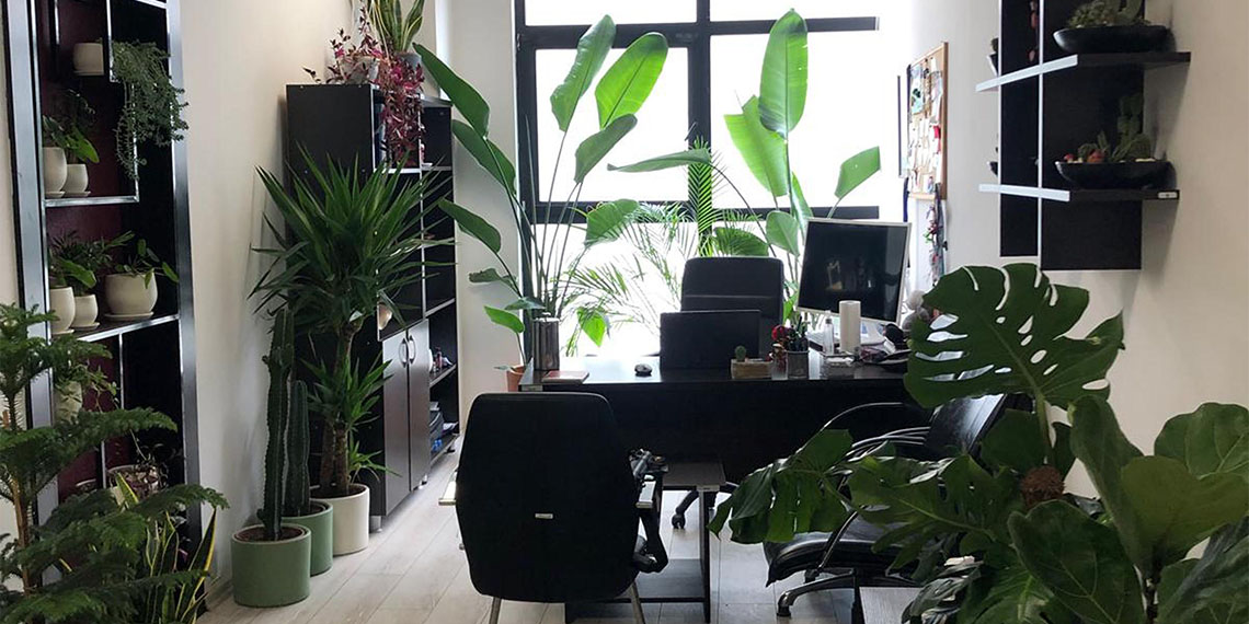 İzmir Katip Çelebi Üniversitesi Mühendislik ve Mimarlık Fakültesi Öğretim Üyesi Doç. Dr. Ayşe Kalaycı Önaç, Ofis ortamındaki canlı bitkilerin, stres ve kaygı seviyesini düşürdüğünü söyledi.