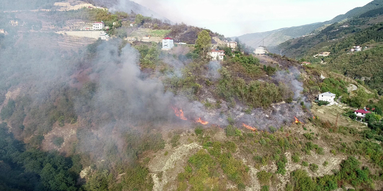 Orman yangınlarında 'yalancı yaz' tehlikesi