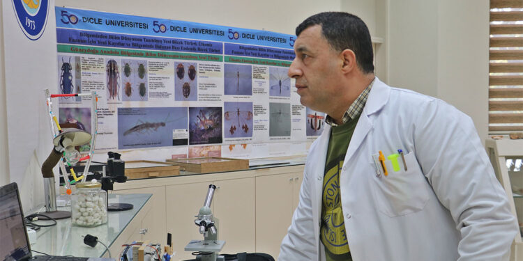 Sivrisineklerle mücadelede ekolojik yapı göz önüne alınmalı