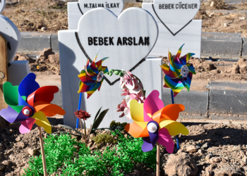 Parçalanmış bebek cesedini mezardan tilki çıkarmış
