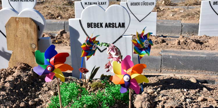 Parçalanmış bebek cesedini mezardan tilki çıkarmış