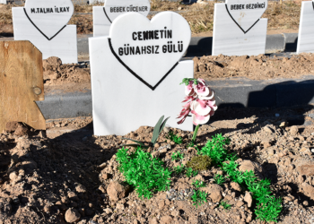 Parçalanmış cesedi bulunan bebeği mezardan hayvanlar çıkarmışz