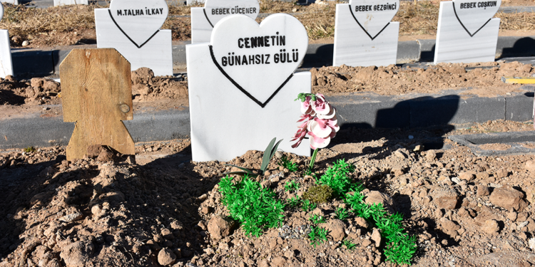 Parçalanmış cesedi bulunan bebeği mezardan hayvanlar çıkarmışz