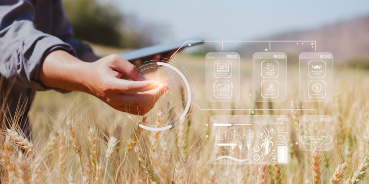 Rivulis, tarımda gelişmiş yapay zeka teknolojisini kullanıyor