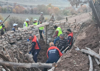 Siirt'te ağılın tavanı çöktü, 3 küçükbaş öldü