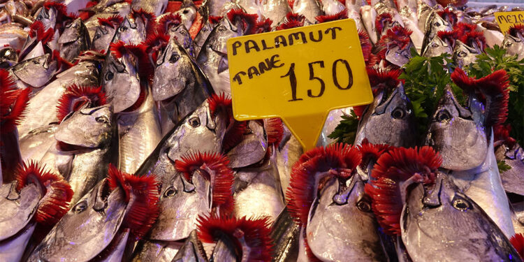 Tezgahlardaki balık çeşitliliği ve bolluğu sürüyor