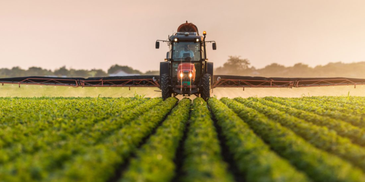 Tarım ürünleri üretici fiyatları arttı