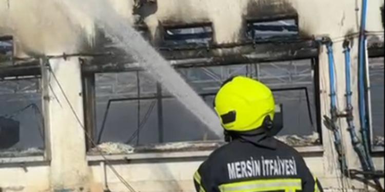 Tavuk çiftliğinde yangın; 33 bin civciv öldü