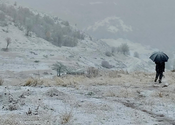 Tunceli'de kar yağışı etkili oldu