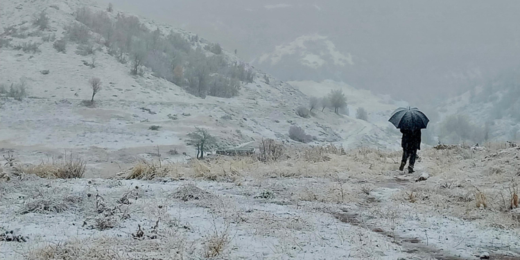 Tunceli'de kar yağışı etkili oldu