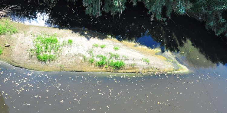 Turgutlu'da oluşan kirlilik Manisa ve İzmir'i kirletiyor