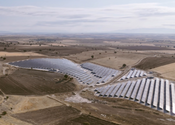 Turkcell, COP29'da sürdürülebilirlik vizyonunu paylaştı