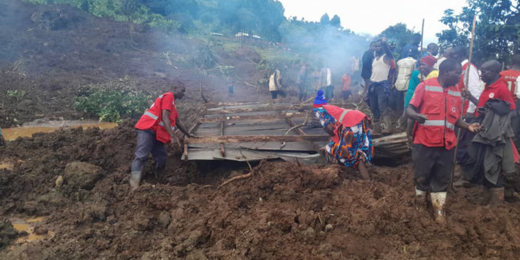 Uganda'da toprak kayması: 15 ölü, 113 kayıp