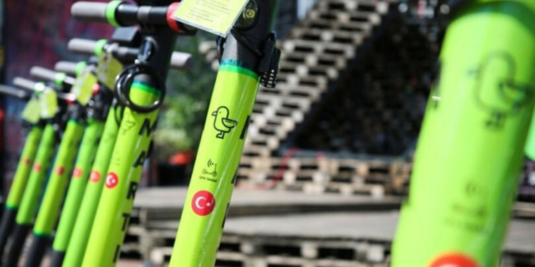  Üst mahkeme Martı lehine karar verdi