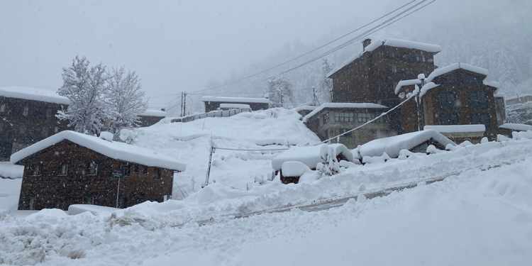Uzungöl ve Ayder'de kar güzelliği