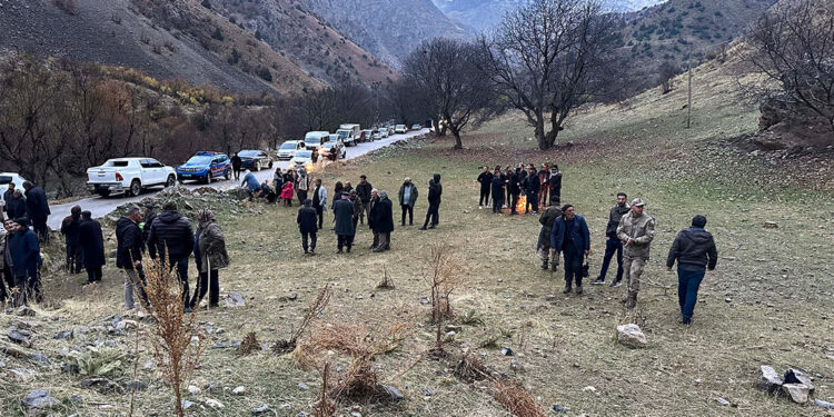 Çobanlık yapan kuzenlerin üzerine kaya parçaları düştü