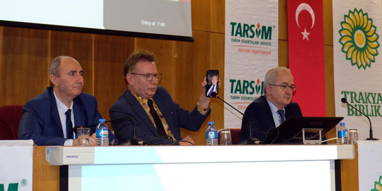 Verim kaybı yaşanan ayçiçeği TARSİM kapsamına alınıyor