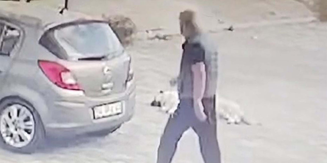 Muğla'nın Bodrum ilçesinde, otomobiliyle yolda yatan köpeği ezen sürücü Anıl H. (49) jandarma ekiplerinin 10 saatlik kamera incelemesi sonrası yakalanıp, gözaltına alındı.