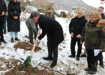 'Yitik lale’ 132 yıl sonra ana vatanında toprakla buluştu