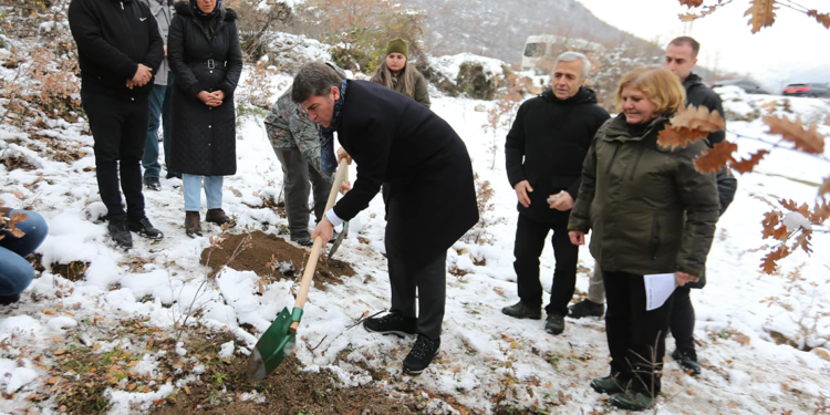 'Yitik lale’ 132 yıl sonra ana vatanında toprakla buluştu