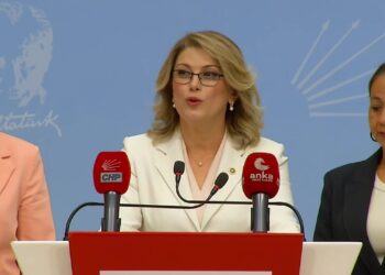 CHP'li Asu Kaya, Aile Ve Sosyal Politikalar Bakanı'nı İstifaya davet etti