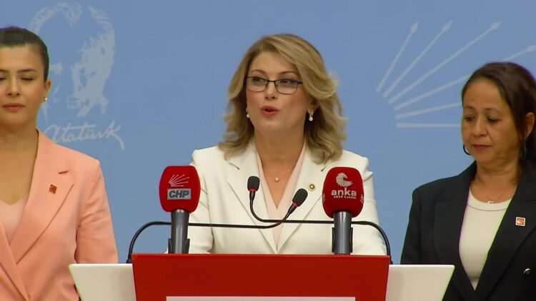 CHP'li Asu Kaya, Aile Ve Sosyal Politikalar Bakanı'nı İstifaya davet etti