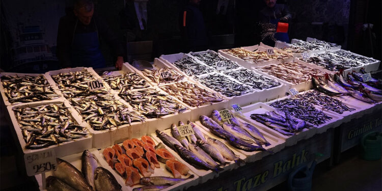 Palamut yerini hamsiye bıraktı