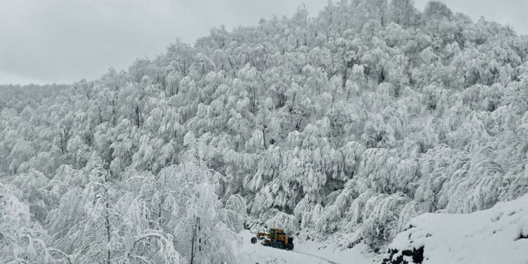 Samsun kar yağışı ile beyaza büründü