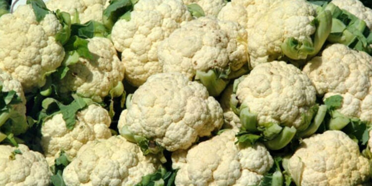 Karnabaharın faydaları nelerdir?